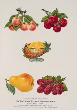 Fruit Salad | Vintage Retro Poster | Colour Factory Editions