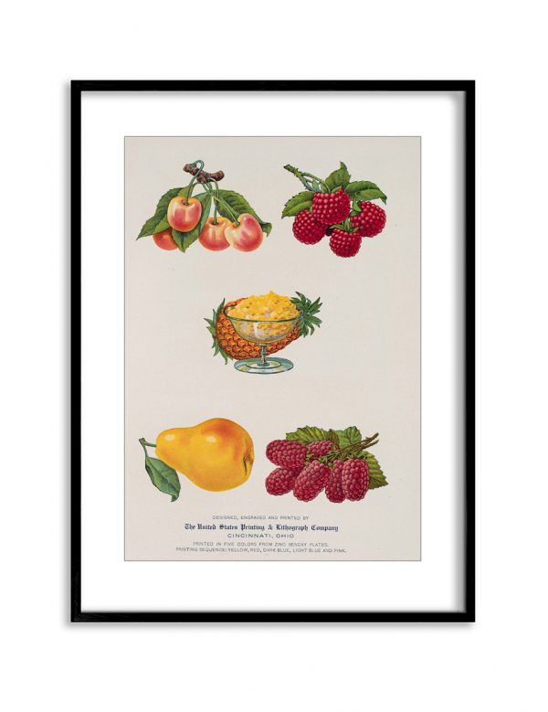 Fruit Salad | Vintage Retro Poster | Colour Factory Editions