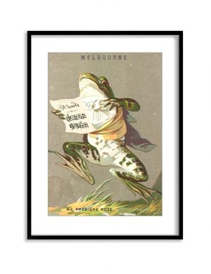 Musical Frog | Vintage Retro Poster | Colour Factory Editions