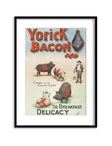 Yorick | Vintage Retro Poster | Colour Factory Editions